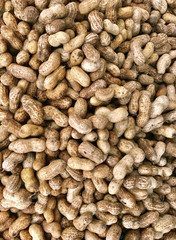 Roasted peanuts background