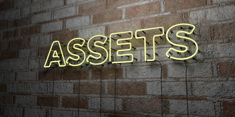 ASSETS - Glowing Neon Sign on stonework wall - 3D rendered royalty free stock illustration.  Can be used for online banner ads and direct mailers..