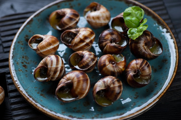 Close-up of bourgogne snails with garlic butter, selective focus
