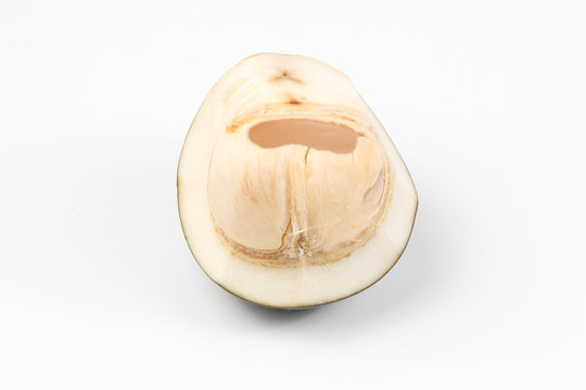 Young fruit Borassus flabellifer