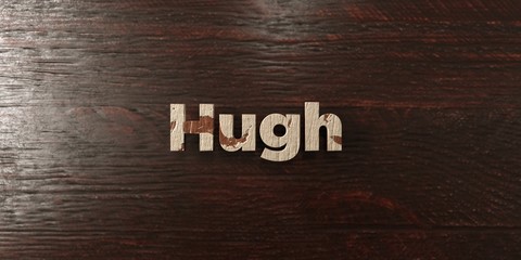 Hugh - grungy wooden headline on Maple  - 3D rendered royalty free stock image. This image can be used for an online website banner ad or a print postcard.