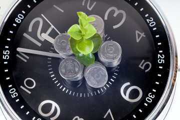 coins with plant and clock, isolated on white background.