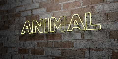 ANIMAL - Glowing Neon Sign on stonework wall - 3D rendered royalty free stock illustration.  Can be used for online banner ads and direct mailers..