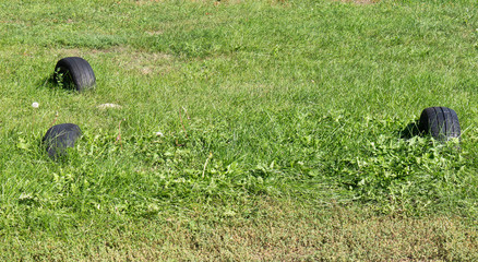 The Grass background.