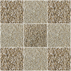 Fototapeta premium Collage consisting of whole wheat grain, cut wheat and oat flakes. Food background. Healthy lifestyle concept. 