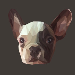 French bulldog animal low poly design. Triangle vector illustration. - 130888612