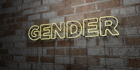 Fototapeta na wymiar GENDER - Glowing Neon Sign on stonework wall - 3D rendered royalty free stock illustration. Can be used for online banner ads and direct mailers..