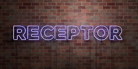 RECEPTOR - fluorescent Neon tube Sign on brickwork - Front view - 3D rendered royalty free stock picture. Can be used for online banner ads and direct mailers..