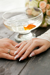 Hands of the bride and groom with rings
