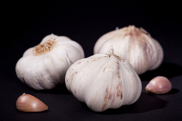 Garlic on black background. Garlic head and cloves.