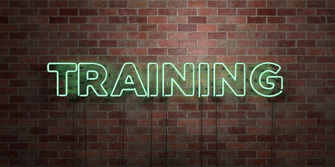 TRAINING - fluorescent Neon tube Sign on brickwork - Front view - 3D rendered royalty free stock picture. Can be used for online banner ads and direct mailers..
