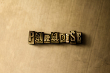 PARADISE - close-up of grungy vintage typeset word on metal backdrop. Royalty free stock - 3D rendered stock image.  Can be used for online banner ads and direct mail.