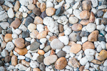 Color pebble stone in background.