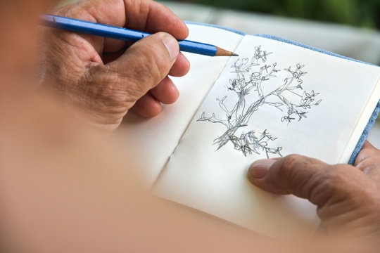 man writing a tree on sketchbook,Environment Conservative concept
