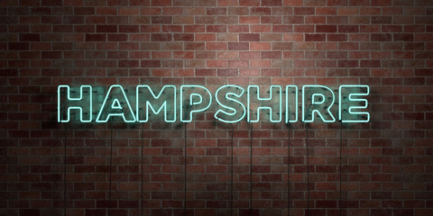 HAMPSHIRE - fluorescent Neon tube Sign on brickwork - Front view - 3D rendered royalty free stock picture. Can be used for online banner ads and direct mailers..