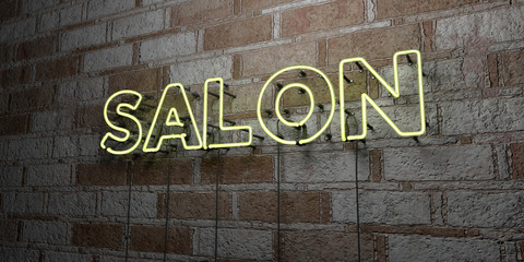 SALON - Glowing Neon Sign on stonework wall - 3D rendered royalty free stock illustration.  Can be used for online banner ads and direct mailers..
