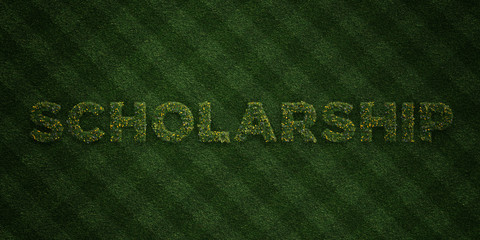 SCHOLARSHIP - fresh Grass letters with flowers and dandelions - 3D rendered royalty free stock image. Can be used for online banner ads and direct mailers..