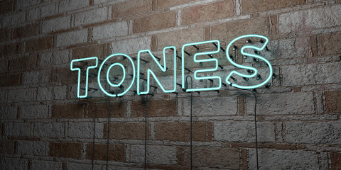 TONES - Glowing Neon Sign on stonework wall - 3D rendered royalty free stock illustration.  Can be used for online banner ads and direct mailers..