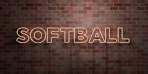 Fototapeta premium SOFTBALL - fluorescent Neon tube Sign on brickwork - Front view - 3D rendered royalty free stock picture. Can be used for online banner ads and direct mailers..