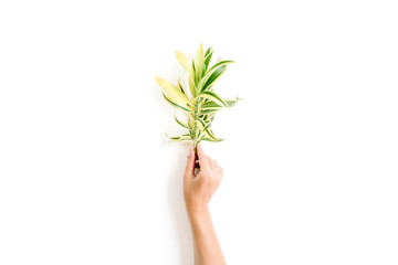 exotic tropical bouquet in girl's hands on white background. flat lay, top view concept