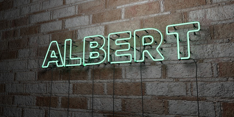 ALBERT - Glowing Neon Sign on stonework wall - 3D rendered royalty free stock illustration.  Can be used for online banner ads and direct mailers..