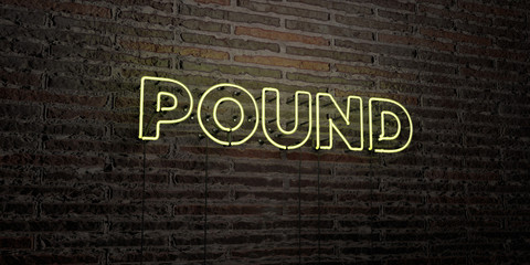 POUND -Realistic Neon Sign on Brick Wall background - 3D rendered royalty free stock image. Can be used for online banner ads and direct mailers..
