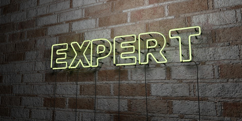 Fototapeta na wymiar EXPERT - Glowing Neon Sign on stonework wall - 3D rendered royalty free stock illustration. Can be used for online banner ads and direct mailers..