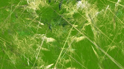 Grasgrüner kreativer Hintergrund 