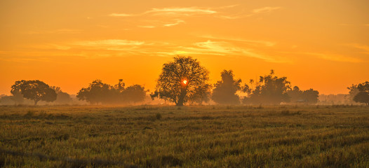 View of fields in rural Thailand and sunset
