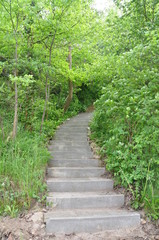 Obraz premium Steinerner Weg