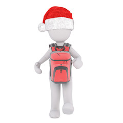 3d toon in Santa hat and life jacket