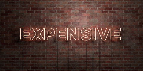 EXPENSIVE - fluorescent Neon tube Sign on brickwork - Front view - 3D rendered royalty free stock picture. Can be used for online banner ads and direct mailers..