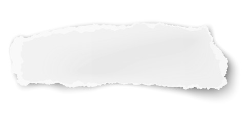 Vector oblong ragged paper scrap isolated on white background