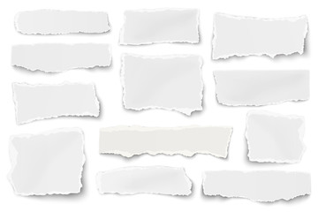 Set of paper different shapes scraps isolated on white - obrazy, fototapety, plakaty