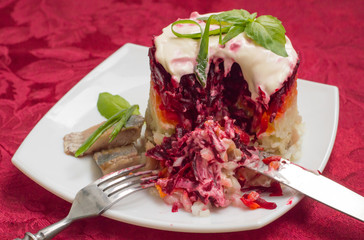 Shuba salad. Cooked beets, carrots, potatoes, onions, herring and mayonnaise. The classic Russian cuisine. Restaurant supply. Close-up