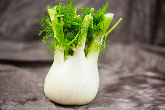 Fenchel - Macro - dunkler Hintergrund