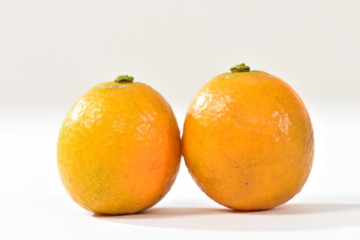金柑