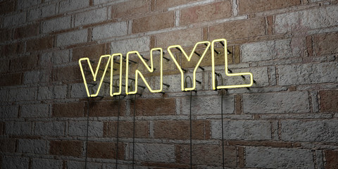 VINYL - Glowing Neon Sign on stonework wall - 3D rendered royalty free stock illustration.  Can be used for online banner ads and direct mailers..