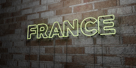 FRANCE - Glowing Neon Sign on stonework wall - 3D rendered royalty free stock illustration.  Can be used for online banner ads and direct mailers..