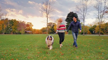 Young carefree couple walking with a dog in the park. Steadicam shot - Powered by Adobe