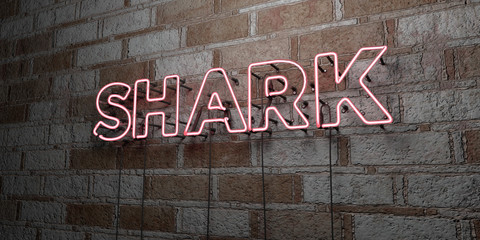SHARK - Glowing Neon Sign on stonework wall - 3D rendered royalty free stock illustration.  Can be used for online banner ads and direct mailers..