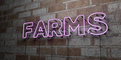 FARMS - Glowing Neon Sign on stonework wall - 3D rendered royalty free stock illustration.  Can be used for online banner ads and direct mailers..