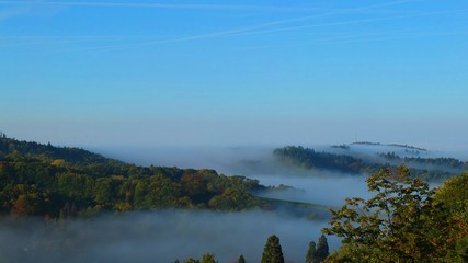 Schwarzwald im Frühnebel