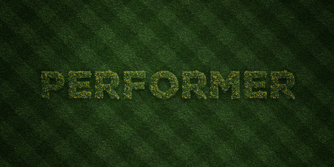 PERFORMER - fresh Grass letters with flowers and dandelions - 3D rendered royalty free stock image. Can be used for online banner ads and direct mailers..