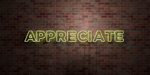 APPRECIATE - fluorescent Neon tube Sign on brickwork - Front view - 3D rendered royalty free stock picture. Can be used for online banner ads and direct mailers..