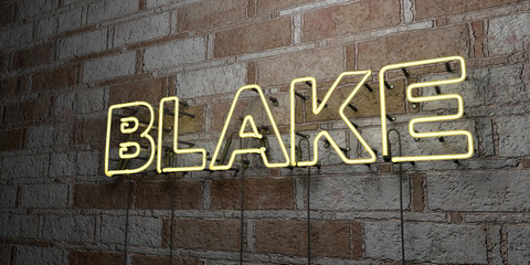 BLAKE - Glowing Neon Sign on stonework wall - 3D rendered royalty free stock illustration.  Can be used for online banner ads and direct mailers..