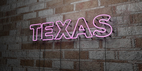 TEXAS - Glowing Neon Sign on stonework wall - 3D rendered royalty free stock illustration.  Can be used for online banner ads and direct mailers..