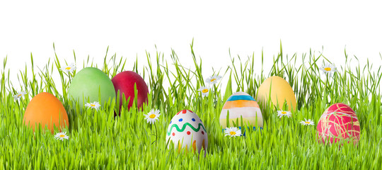Easter Eggs in Grass Isoleted