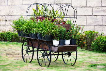 Fototapeta na wymiar carriage with flowers