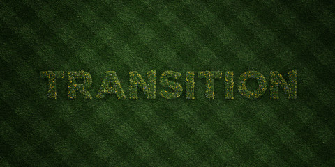 TRANSITION - fresh Grass letters with flowers and dandelions - 3D rendered royalty free stock image. Can be used for online banner ads and direct mailers.. © Chris Titze Imaging